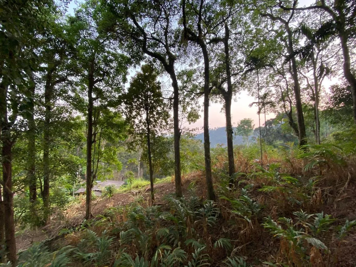 Nature Cool Villas Kallar Vattiyar Bed & Breakfast
